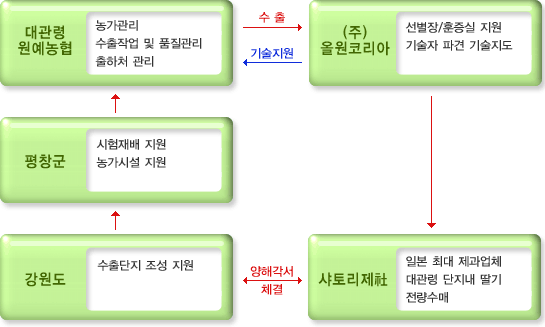 여름딸기의 수출사업 기본체계