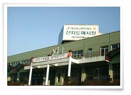 대관령원예농협 공판사업소