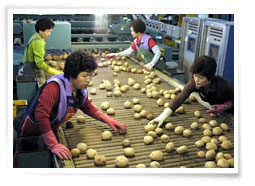 씨감자 생산시설('97년 10월 준공)