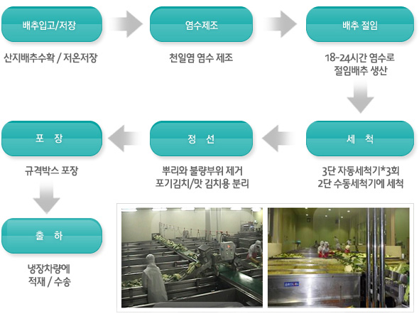절임배추 생산과정